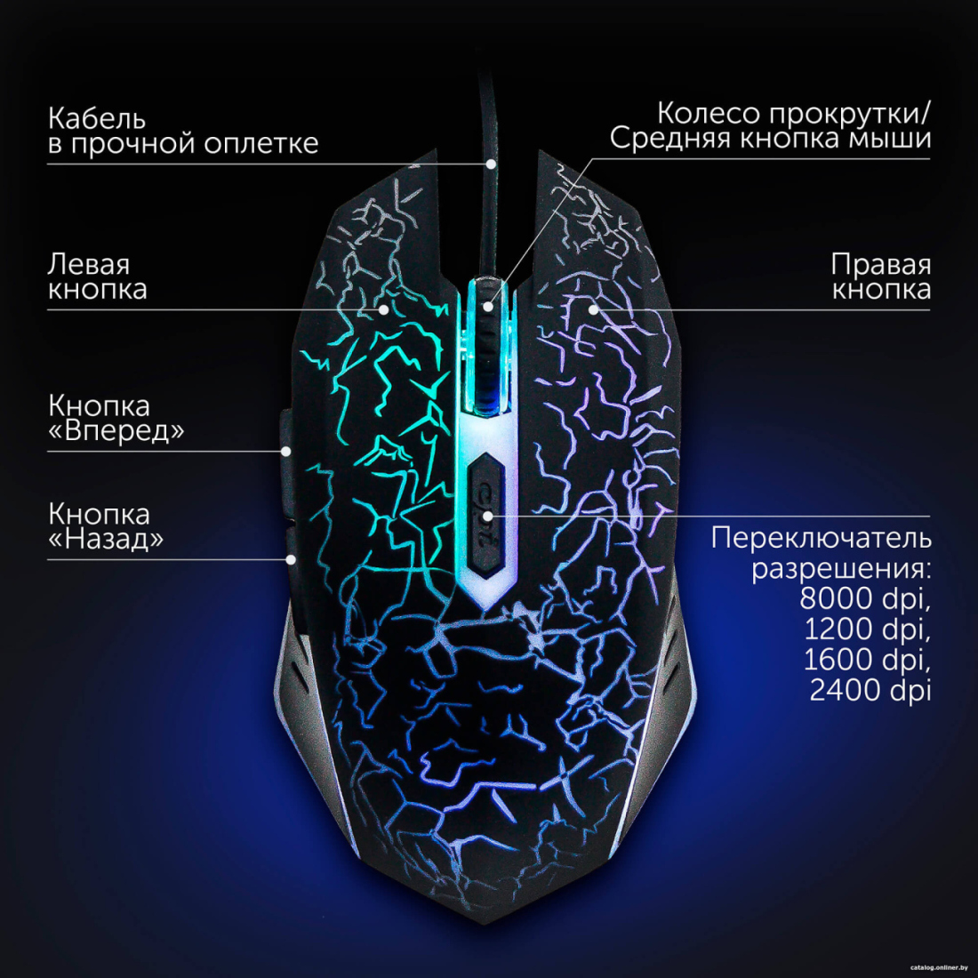  картинка